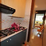 Studio Solarium